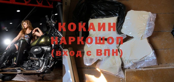 дживик Богородицк