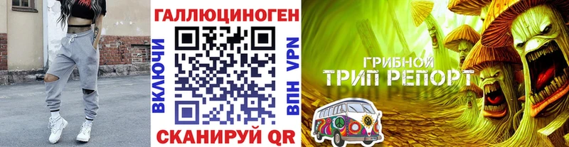 закладки  Севск  Псилоцибиновые грибы мицелий 